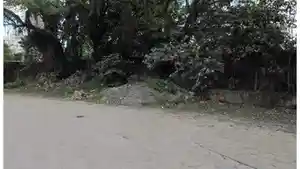 Terreno - Santos, SP