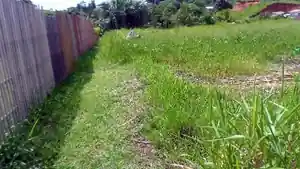 Terreno - Cruzeiro Do Sul, AC