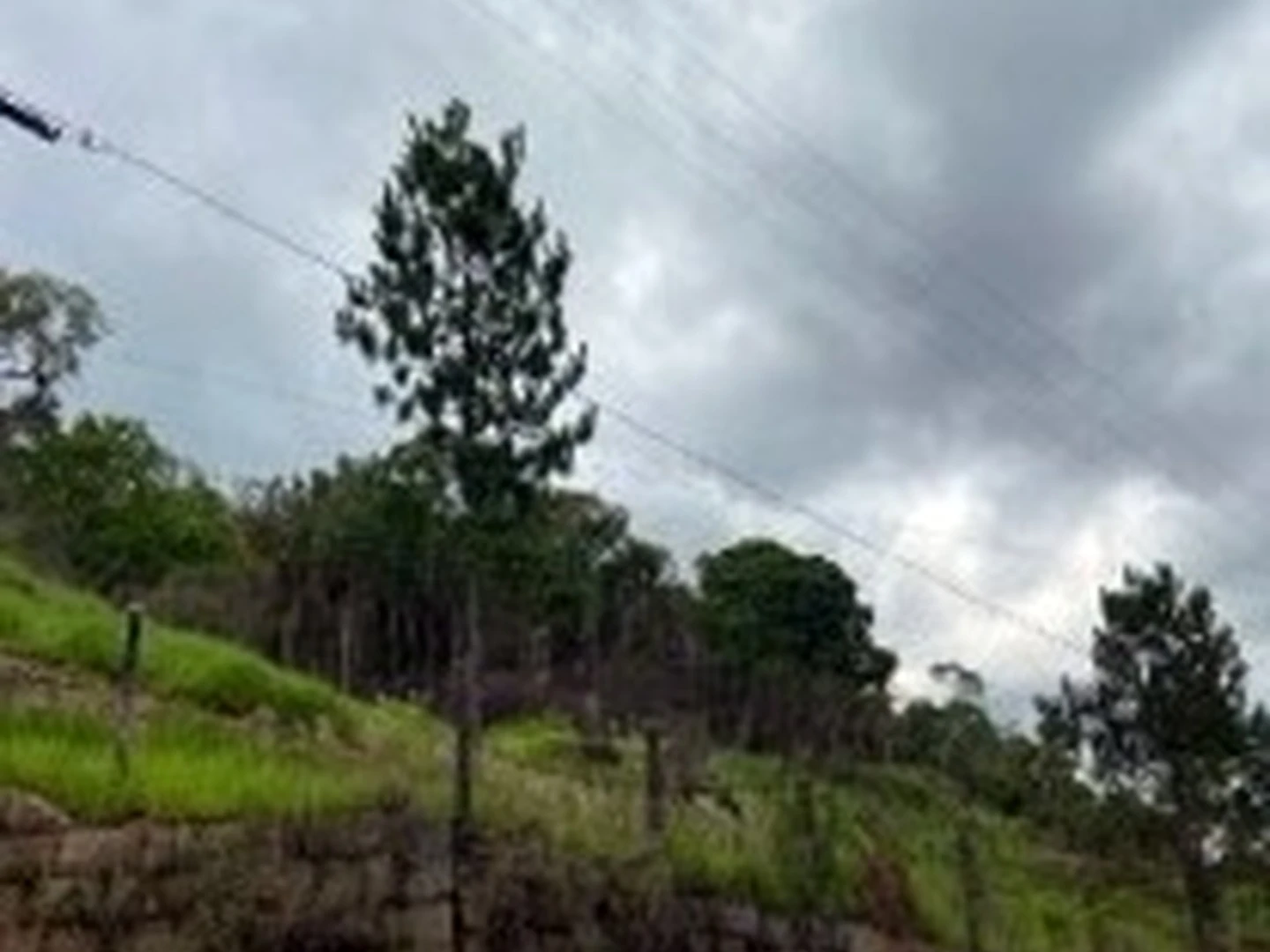 Terreno - Ribeirao Pires, SP - foto 1