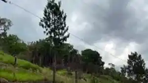 Terreno - Ribeirao Pires, SP