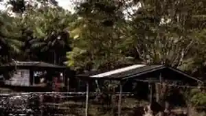 Imóvel Rural - Anajas, PA