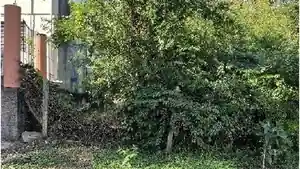 Terreno - Novo Hamburgo, RS