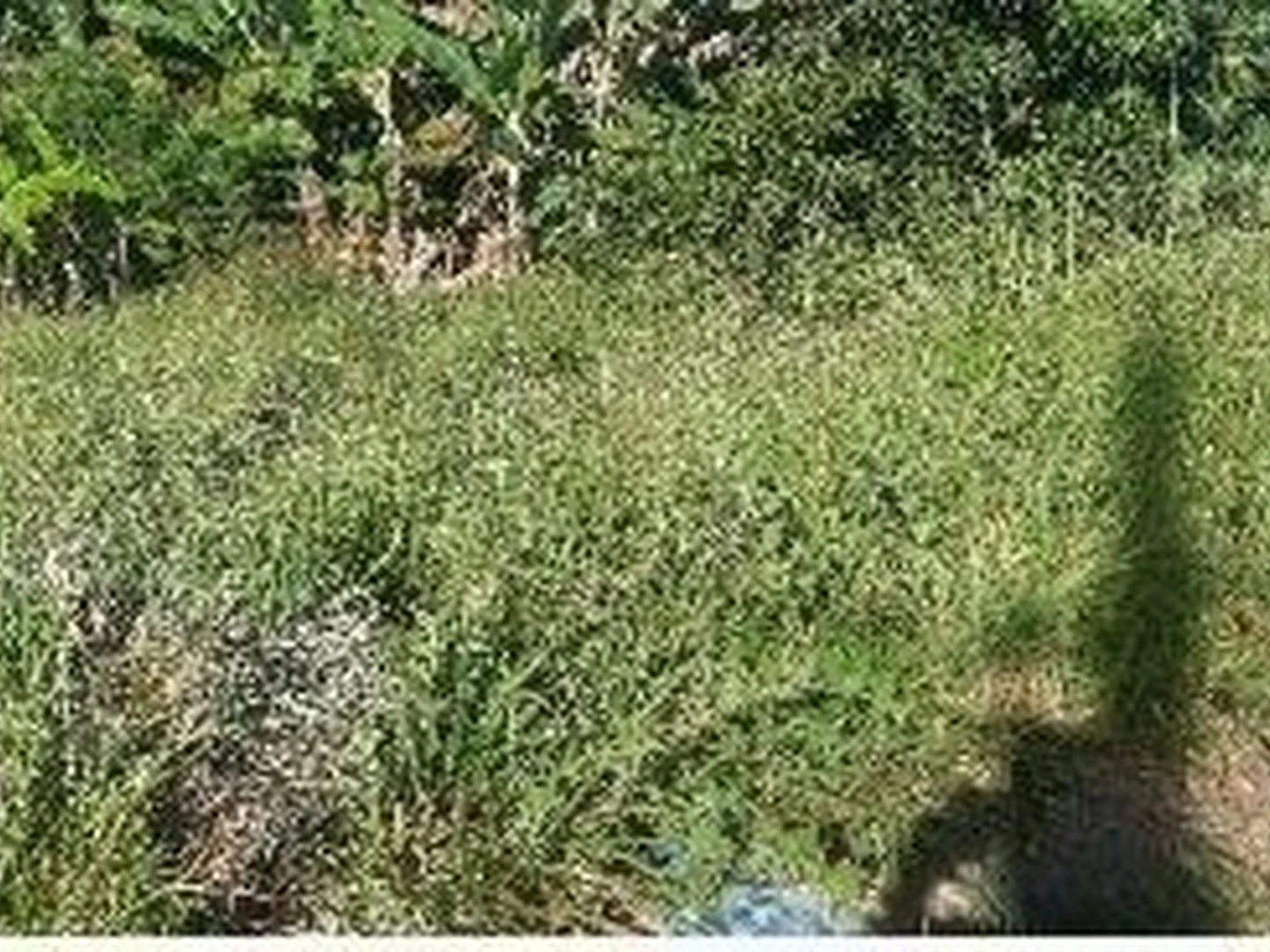 Terreno - Ribeirao Das Neves, MG - foto 1