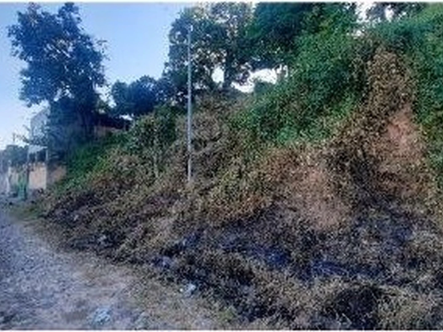 Terreno - Ribeirao Das Neves, MG - foto 1