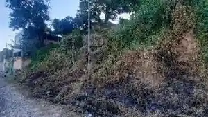Terreno - Ribeirao Das Neves, MG