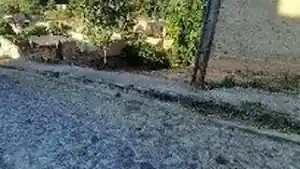 Terreno - Ribeirao Das Neves, MG