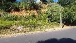 Terreno - Ribeirao Das Neves, MG