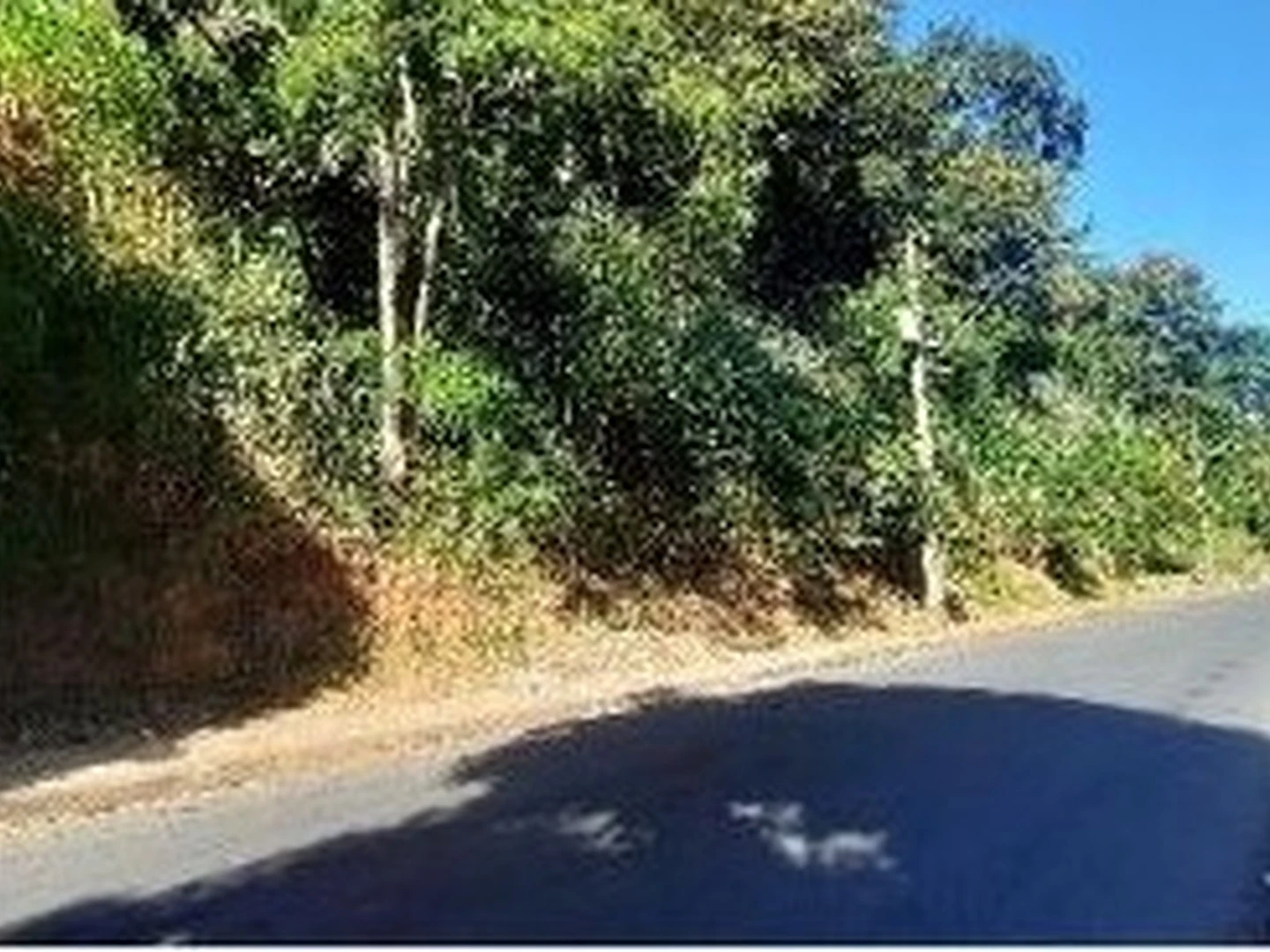 Terreno - Ribeirao Das Neves, MG - foto 1