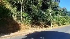 Terreno - Ribeirao Das Neves, MG
