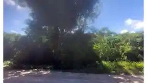 Terreno - Pelotas, RS