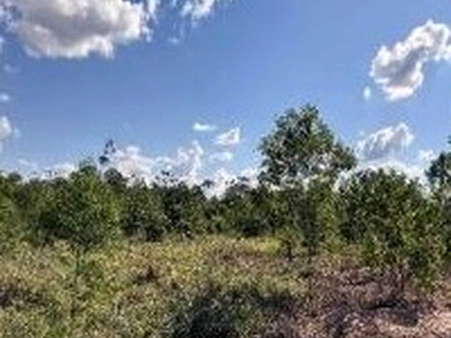 Gleba - Cuiaba, MT - foto 1