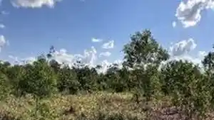 Gleba - Cuiaba, MT