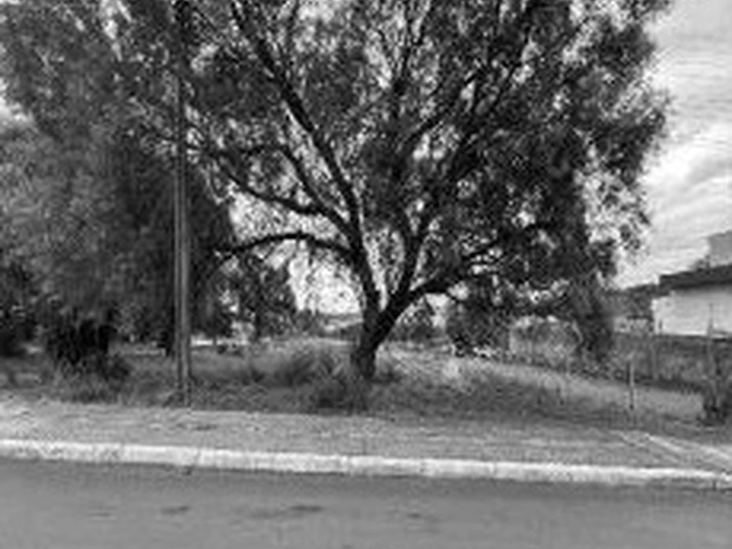 Terreno - Carazinho, RS - foto 1