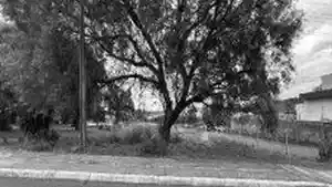 Terreno - Carazinho, RS