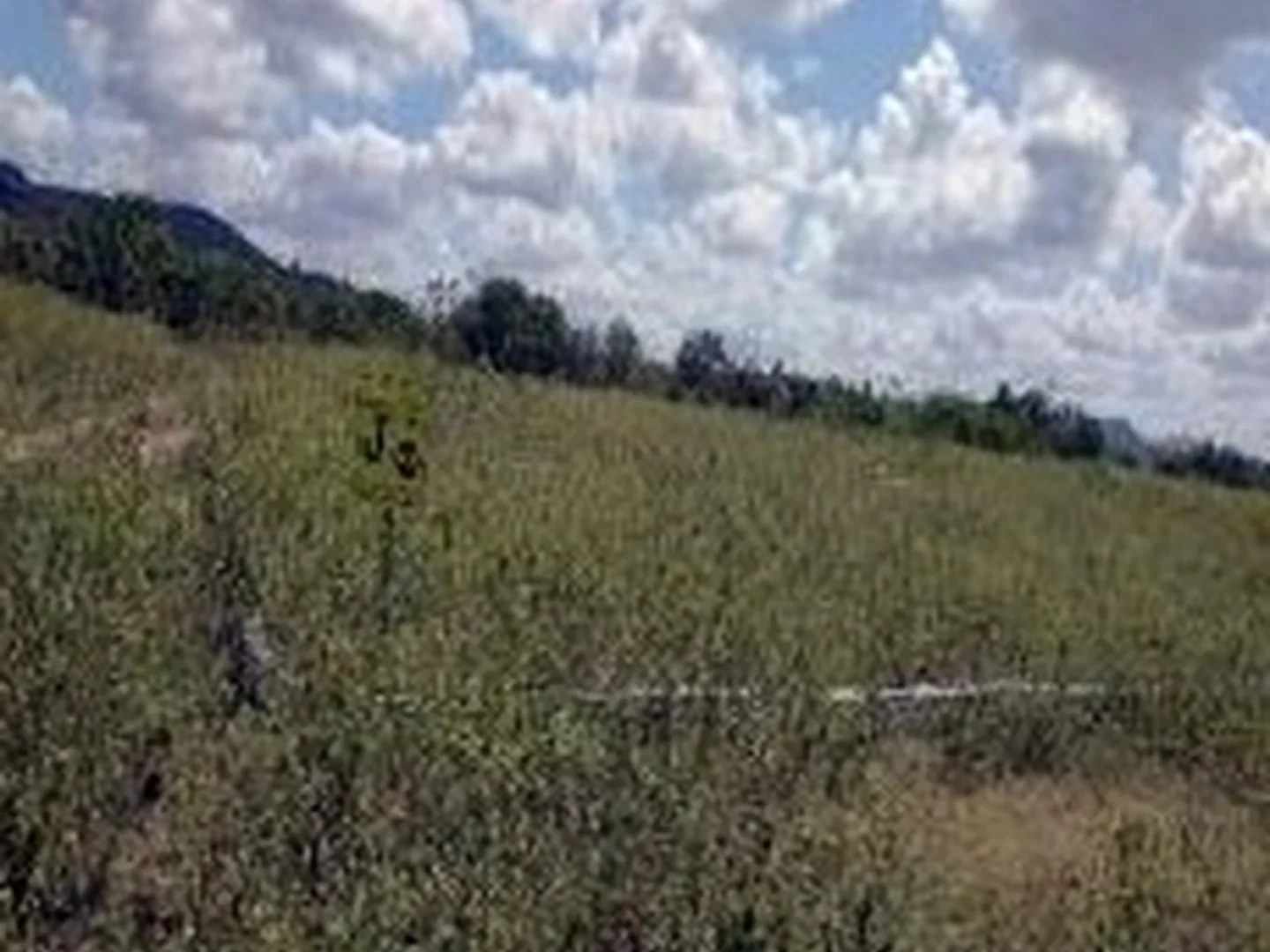 Terreno - Jatauba, PE - foto 1