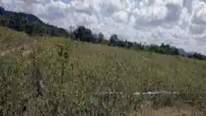 Terreno - Jatauba, PE