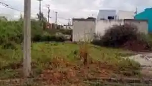 Terreno - Cachoeira Paulista, SP