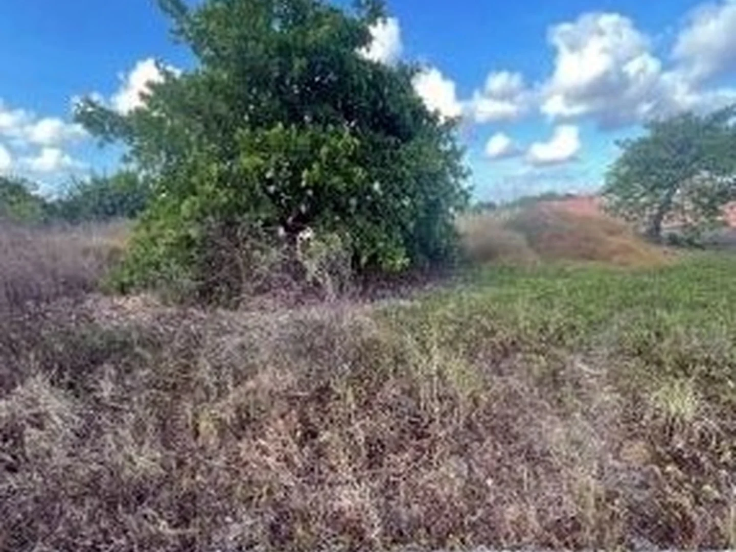 Terreno - Horizonte, CE - foto 1