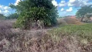 Terreno - Horizonte, CE