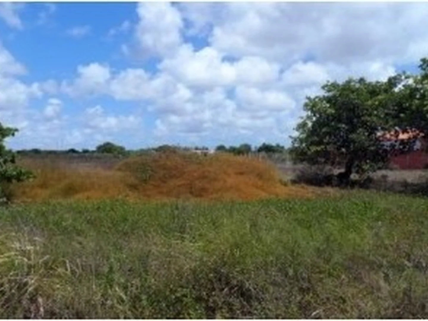 Terreno - Horizonte, CE - foto 1