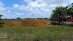 Terreno - Horizonte, CE
