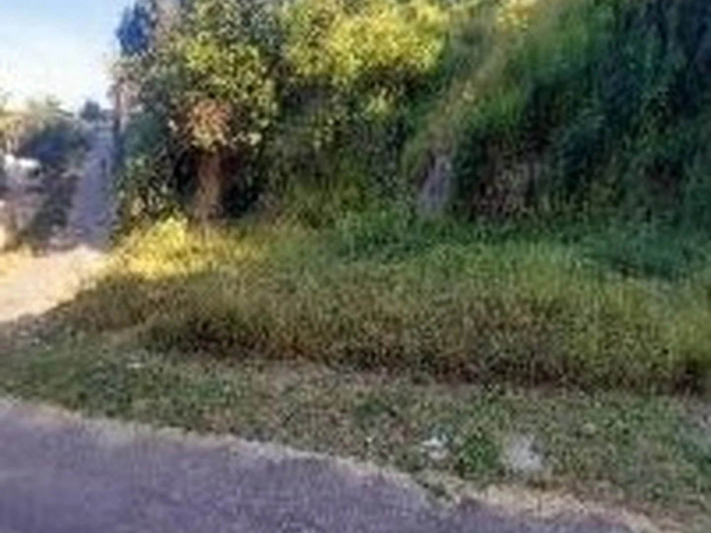 Terreno - Ribeirao Das Neves, MG - foto 1