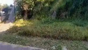 Terreno - Ribeirao Das Neves, MG