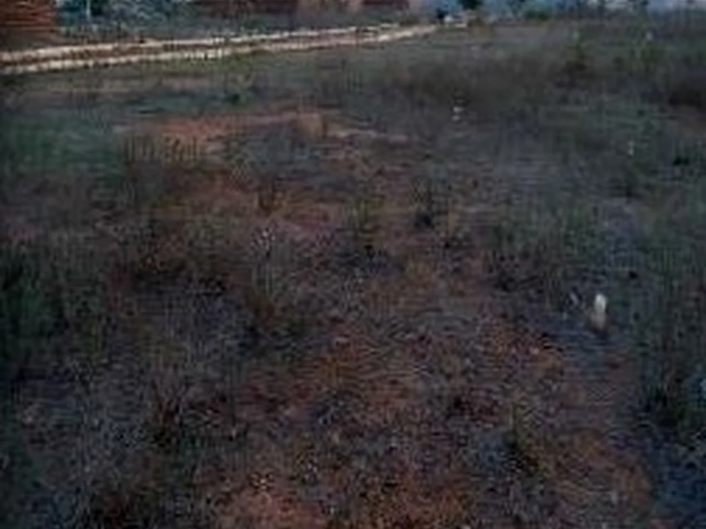 Terreno - Jatauba, PE - foto 1