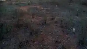 Terreno - Jatauba, PE