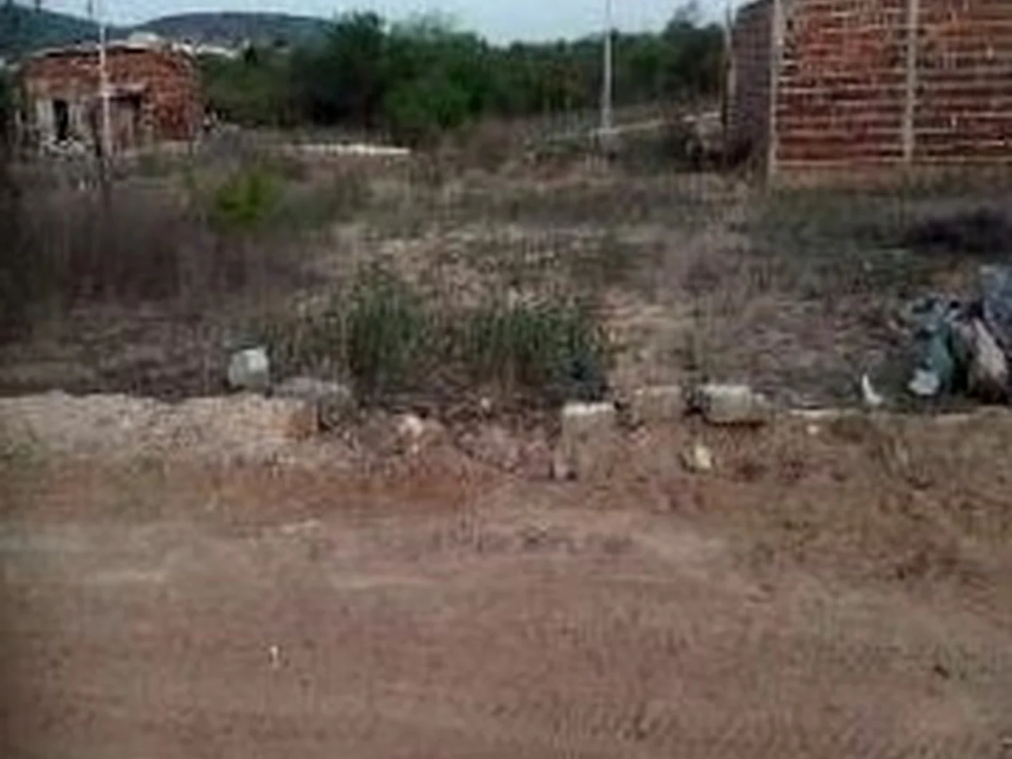 Terreno - Jatauba, PE - foto 1