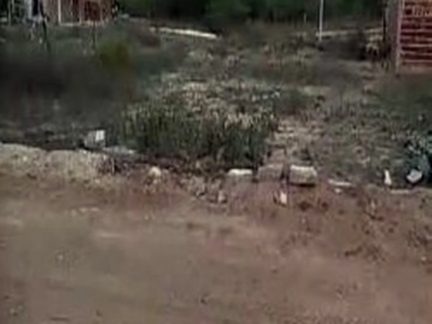 Terreno - Jatauba, PE - foto 1