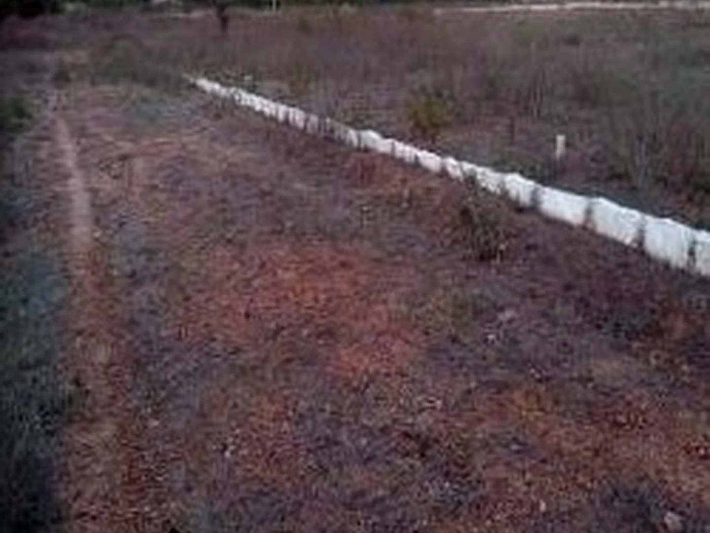 Terreno - Jatauba, PE - foto 1