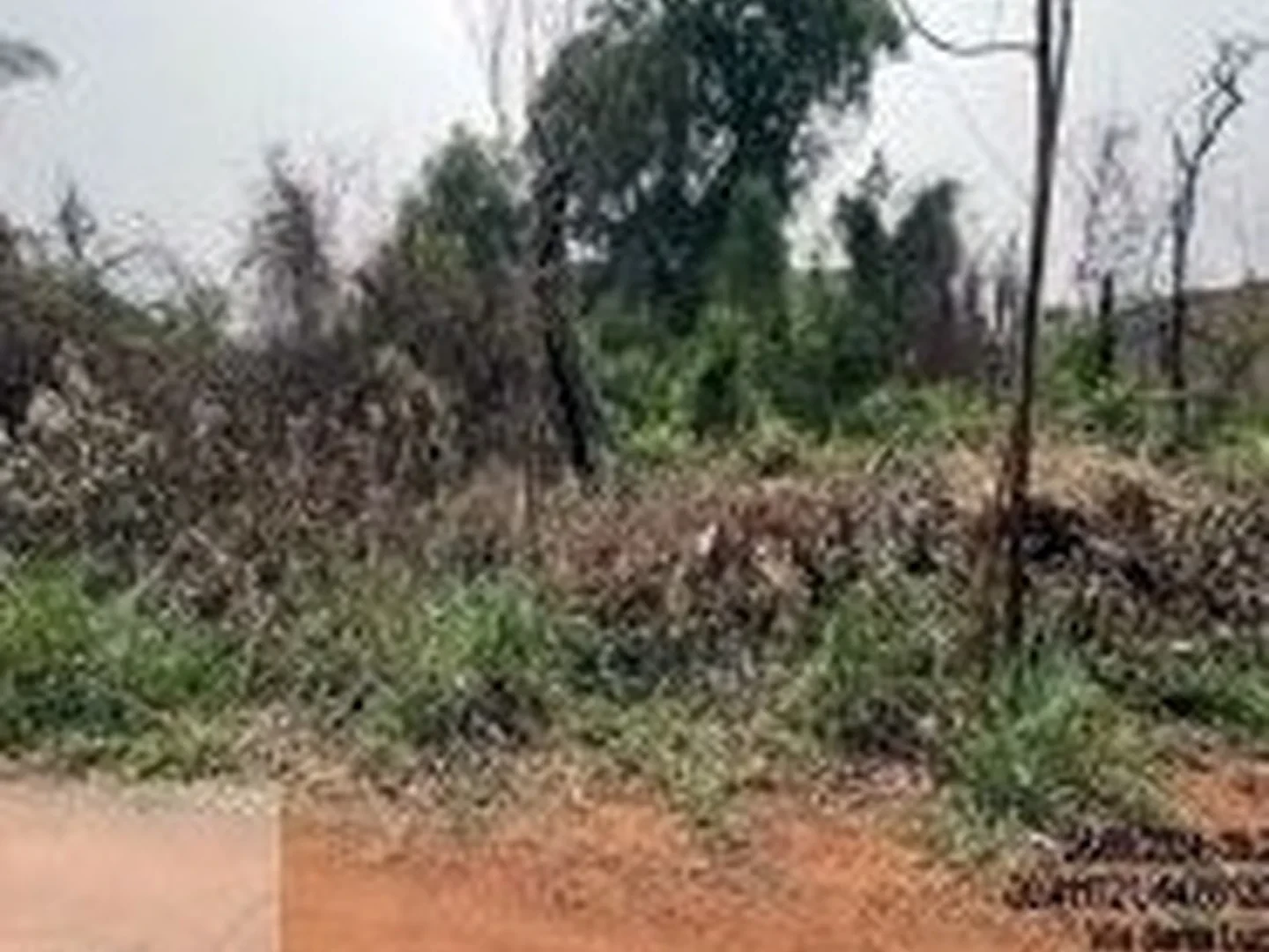 Terreno - Campo Grande, MS - foto 1