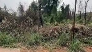 Terreno - Campo Grande, MS