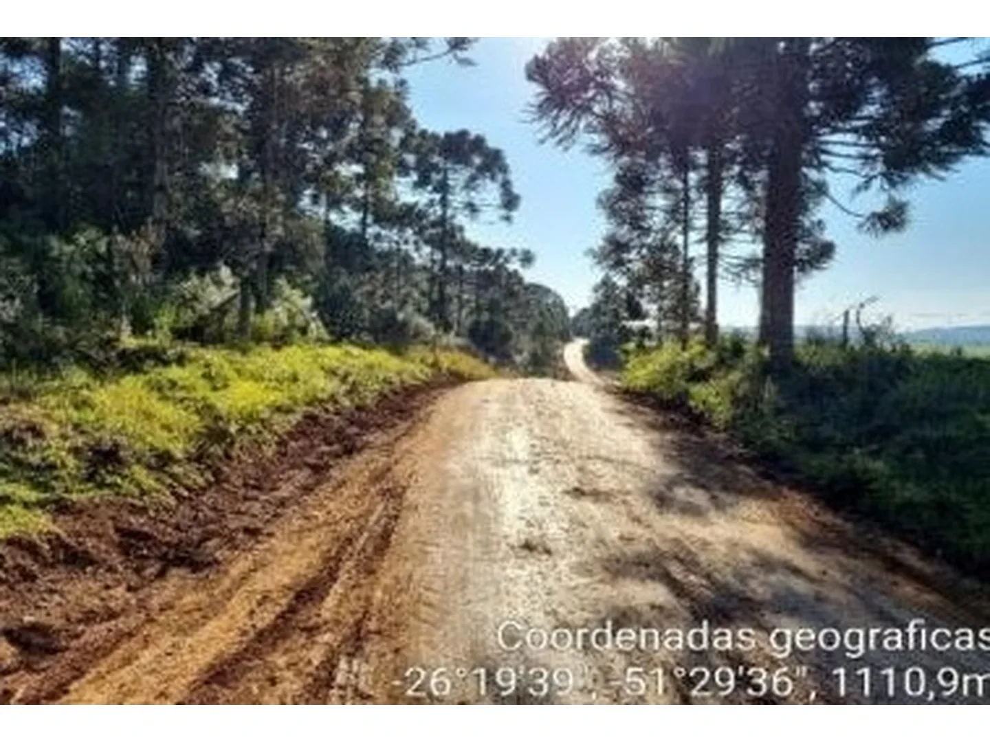 Imóvel Rural - General Carneiro, PR - foto 1