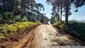 Imóvel Rural - General Carneiro, PR