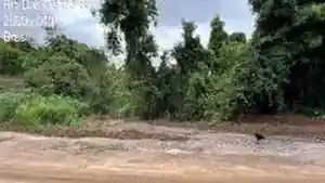Terreno - Rio Das Ostras, RJ