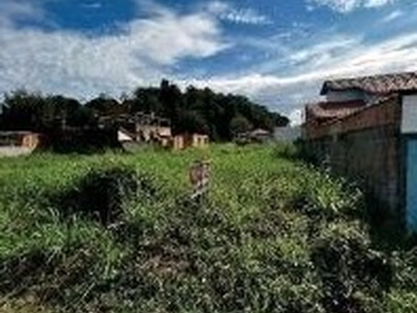 Terreno - Cachoeiras De Macacu, RJ - foto 1