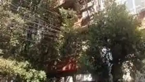 Sala - Niteroi, RJ