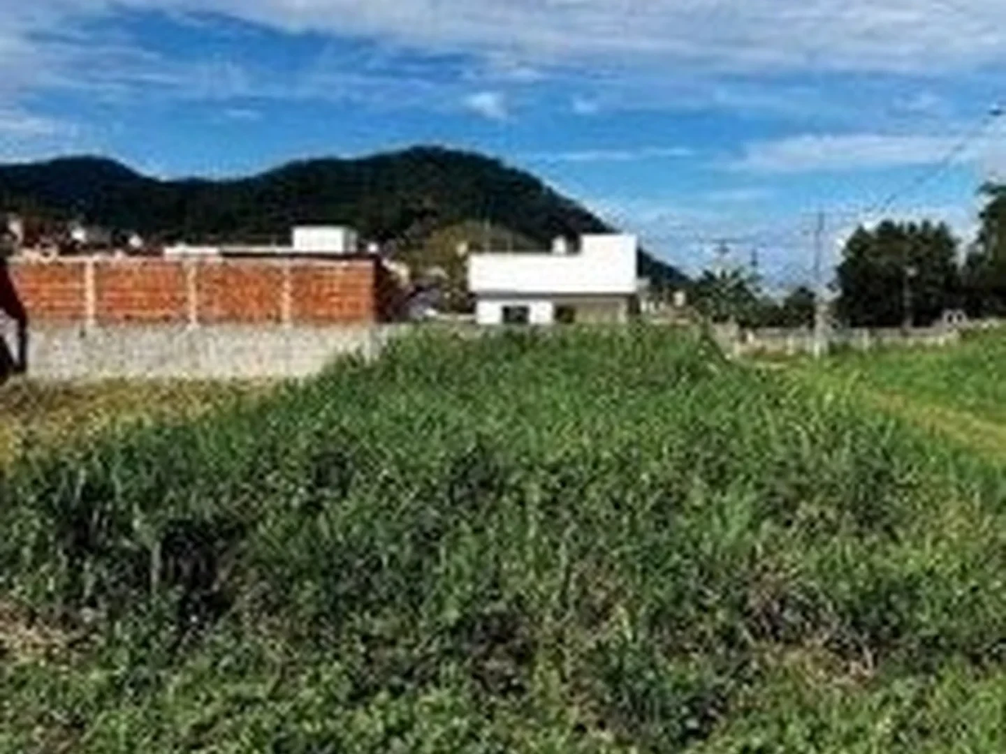 Terreno - Cachoeiras De Macacu, RJ - foto 1