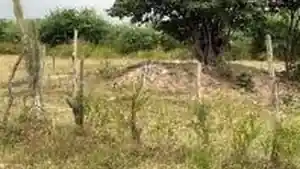 Terreno - Goiana, PE