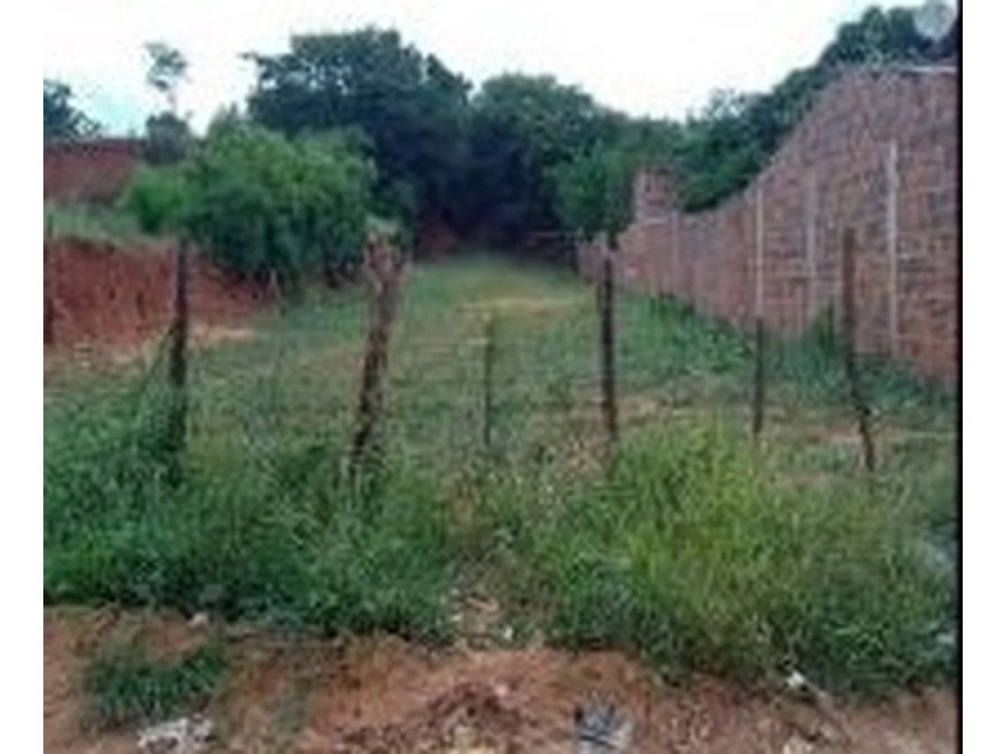 Terreno - Juazeiro Do Norte, CE - foto 1