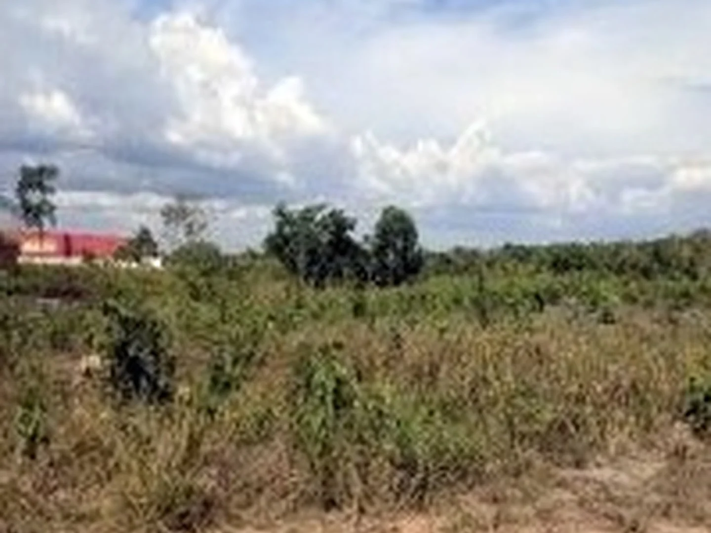 Terreno - Chapadinha, MA - foto 1