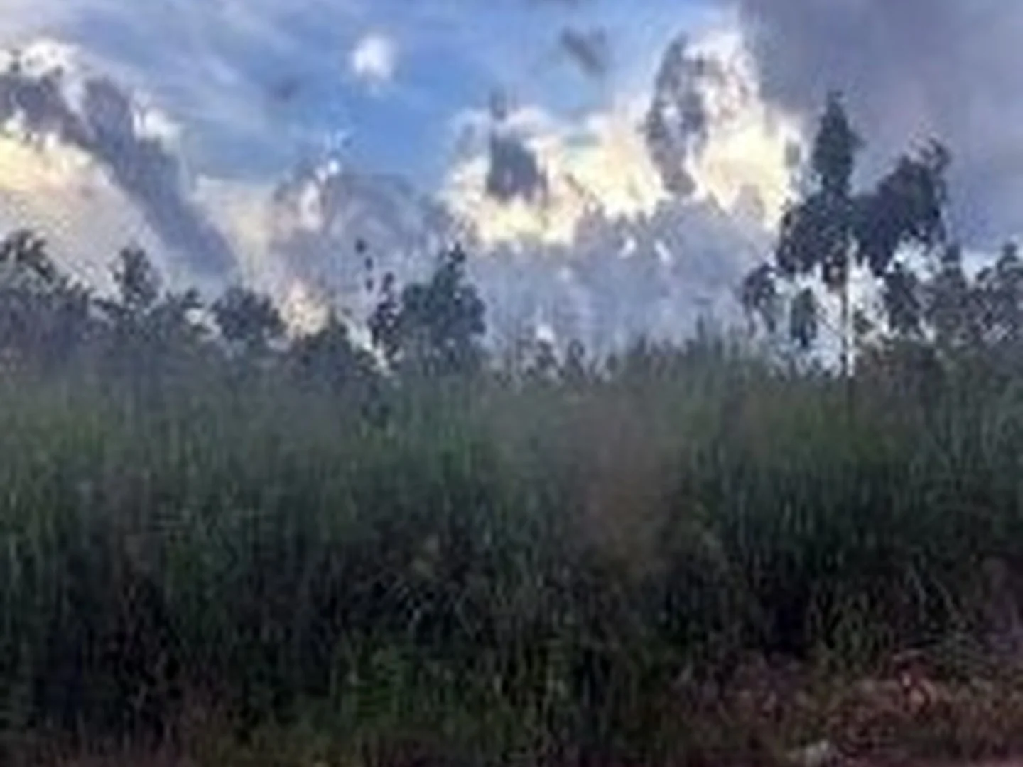Terreno - Chapadinha, MA - foto 1