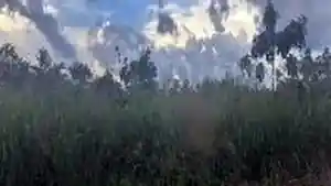 Terreno - Chapadinha, MA