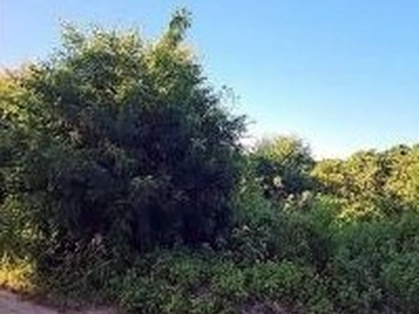 Terreno - Pindoretama, CE - foto 1