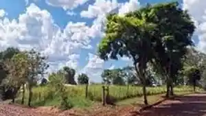 Terreno - Rolador, RS