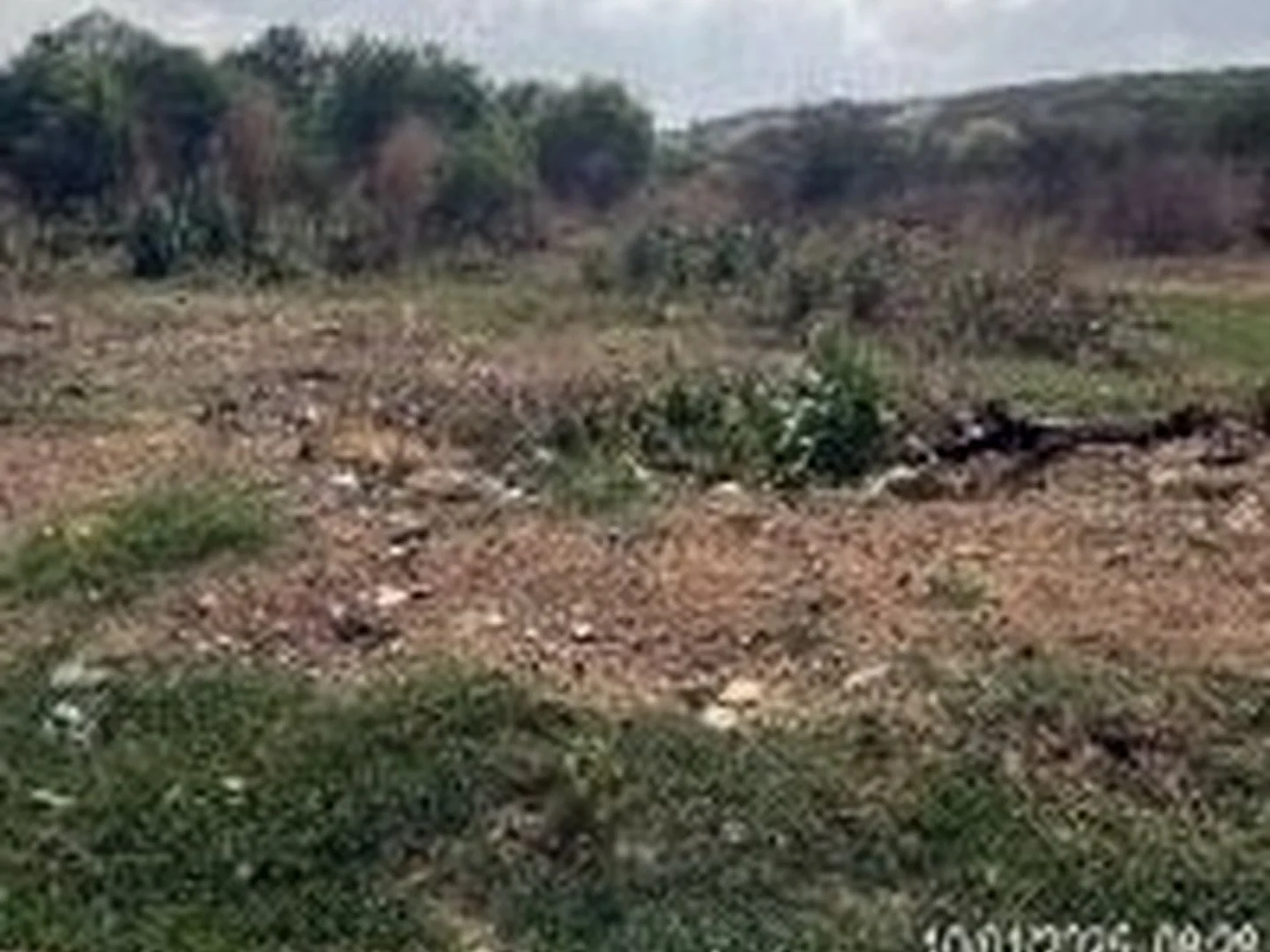 Terreno - Ico, CE - foto 1