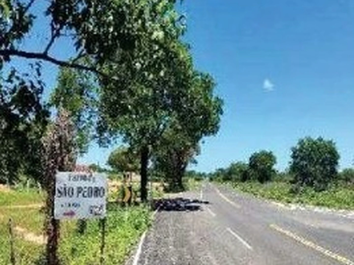 Imóvel Rural - Morpara, BA - foto 1