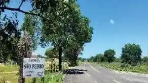Imóvel Rural - Morpara, BA
